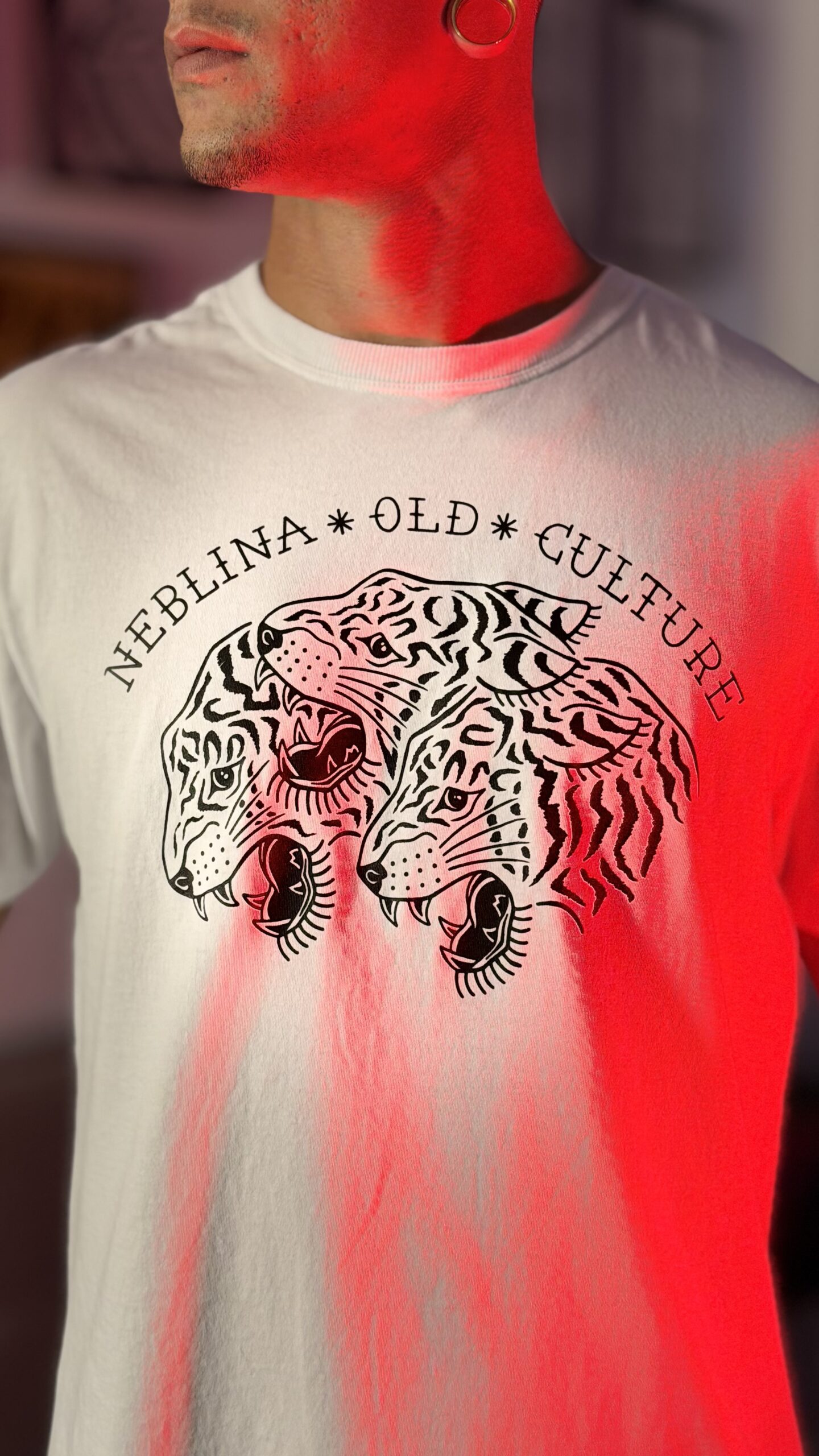 Camiseta Old Culture - Imagem 2